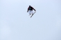 , Winter X-Games Slopestyle practice 2011 - Courchevel Enquirer